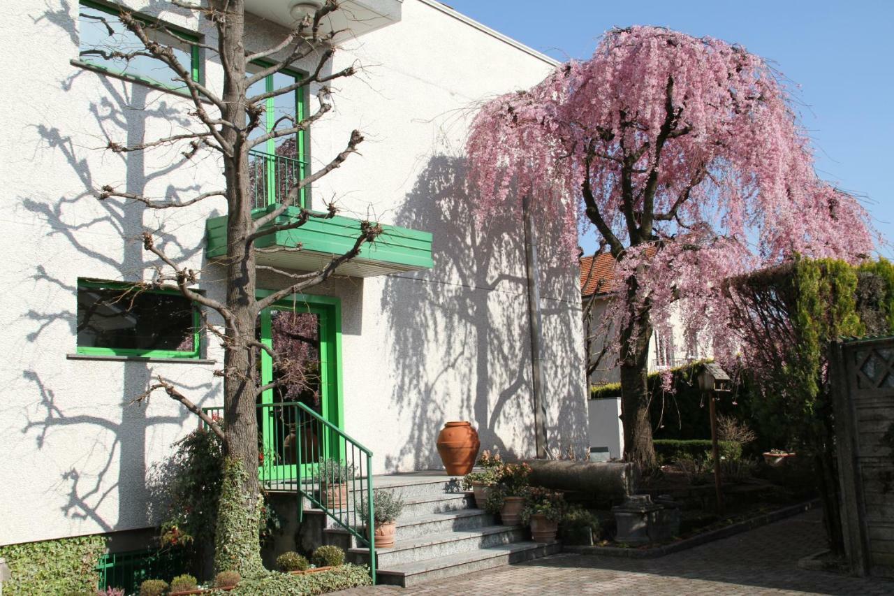 Albergo Nardini Lentate sul Seveso Exterior photo